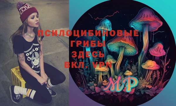 мет Арсеньев