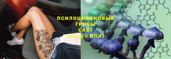 мет Арсеньев
