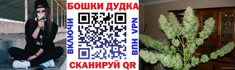 МАРИХУАНА ГИДРОПОН кракен ссылки Почеп